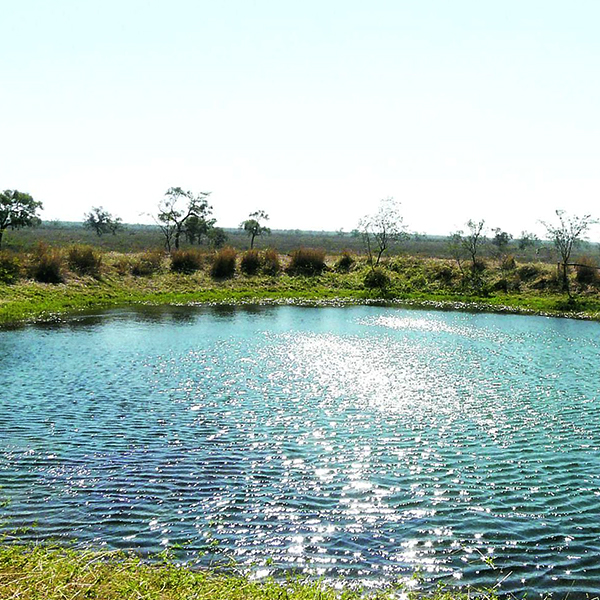 Construcción de tajamares
